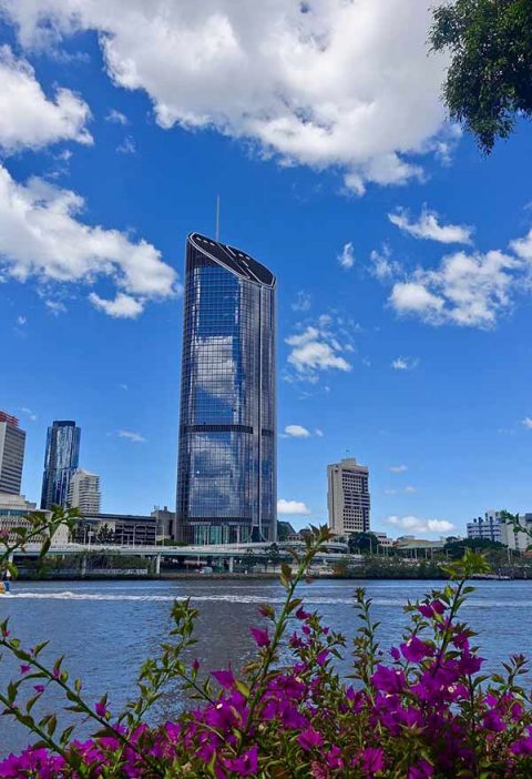 Brisbane Local SEO Expert Service Brisbane Local SEO Expert Service